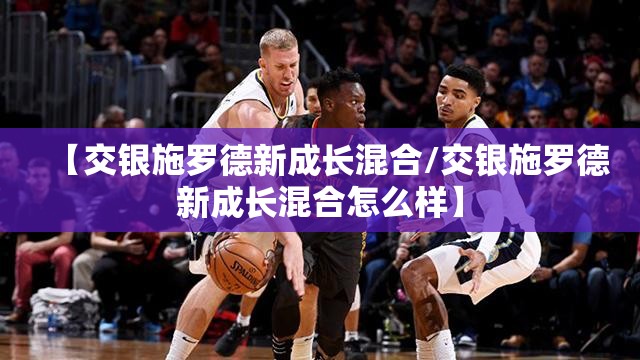 【交银施罗德新成长混合/交银施罗德新成长混合怎么样】