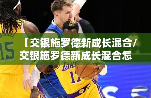 【交银施罗德新成长混合/交银施罗德新成长混合怎么样】
