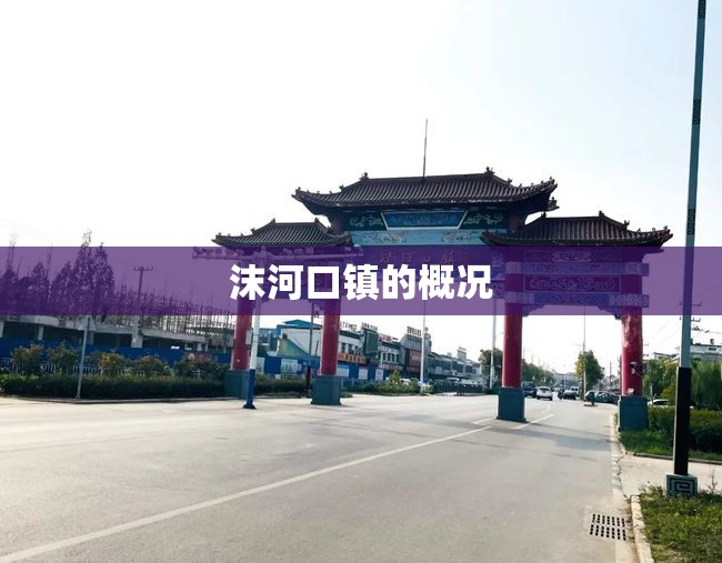 沫河口镇的概况