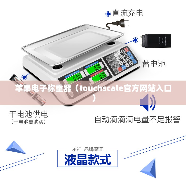 苹果电子称重器（touchscale官方网站入口）