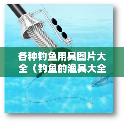 各种钓鱼用具图片大全（钓鱼的渔具大全）