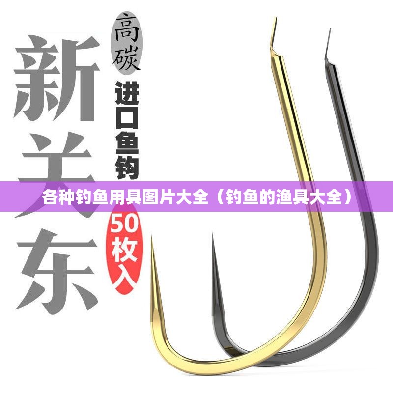 各种钓鱼用具图片大全（钓鱼的渔具大全）