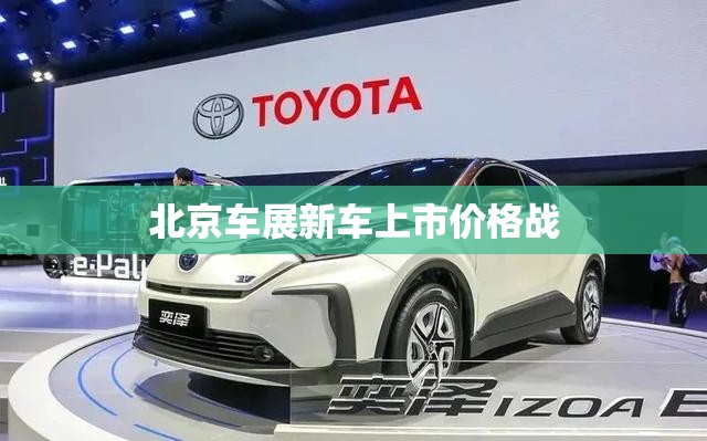 北京车展新车上市价格战