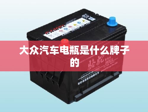 大众汽车电瓶是什么牌子的