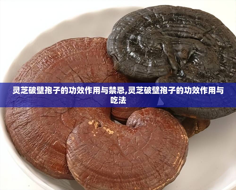 灵芝破壁孢子的功效作用与禁忌,灵芝破壁孢子的功效作用与吃法