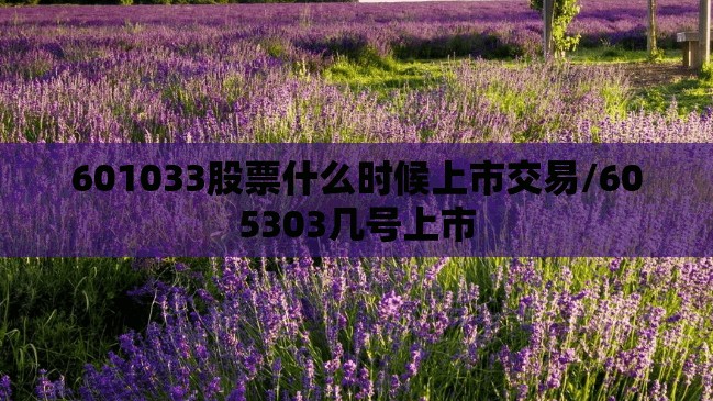 601033股票什么时候上市交易/605303几号上市