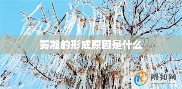 雾凇的形成原因是什么