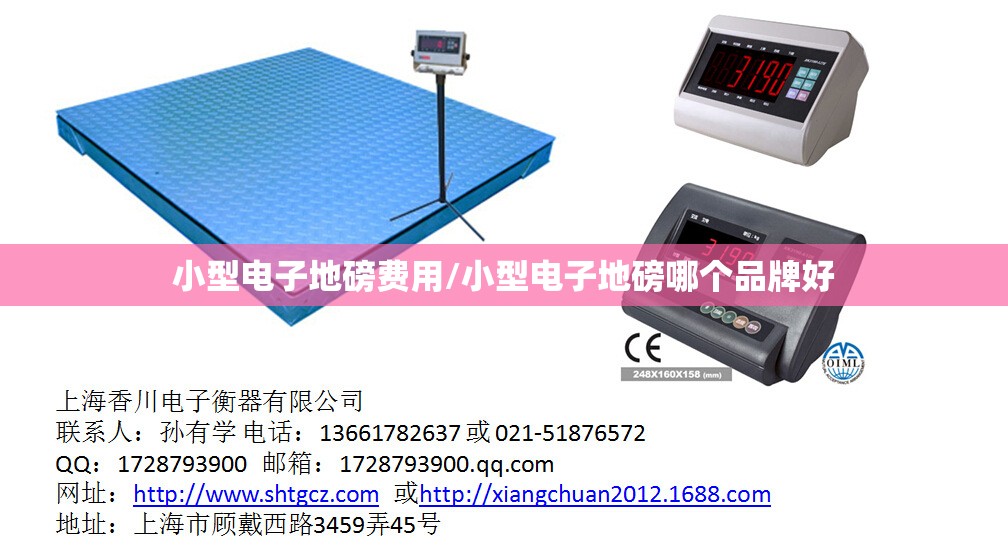 小型电子地磅费用/小型电子地磅哪个品牌好