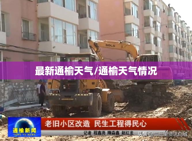 附近的驾校报名处