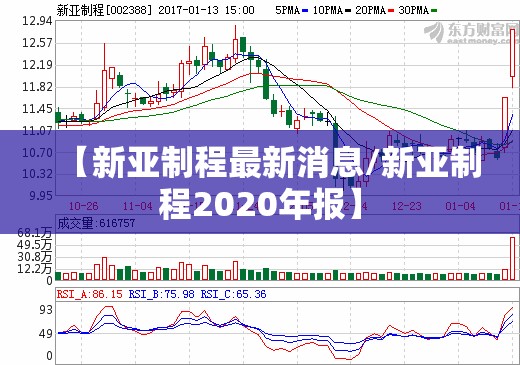 【新亚制程最新消息/新亚制程2020年报】