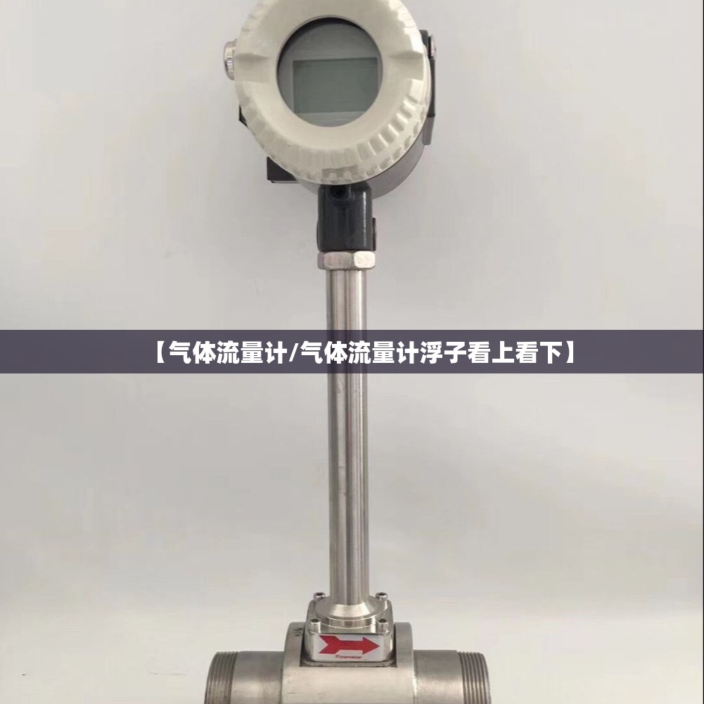【气体流量计/气体流量计浮子看上看下】