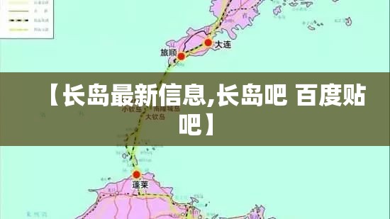 雷诺风景2代/雷诺风景2011款20