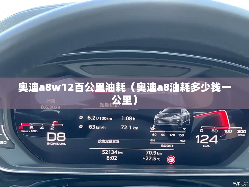 奥迪a8w12百公里油耗（奥迪a8油耗多少钱一公里）