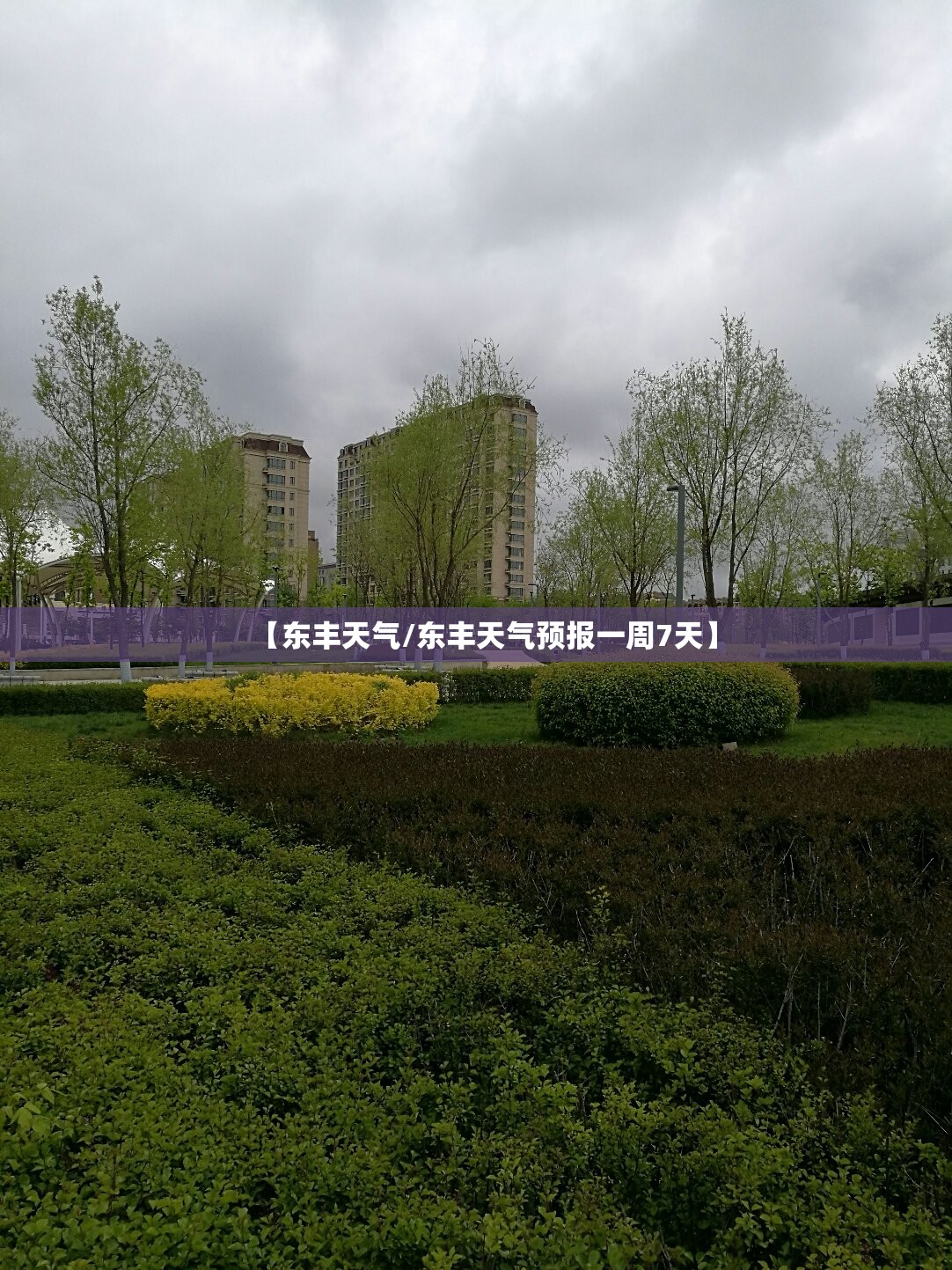 东风标致2015款3008（东风标致2015款408怎么样）