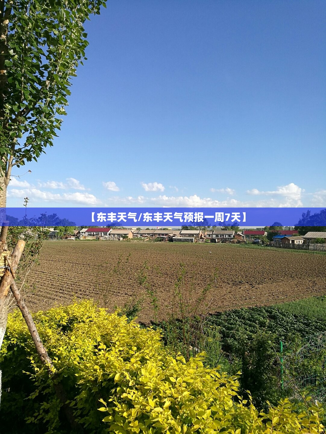 【东丰天气/东丰天气预报一周7天】
