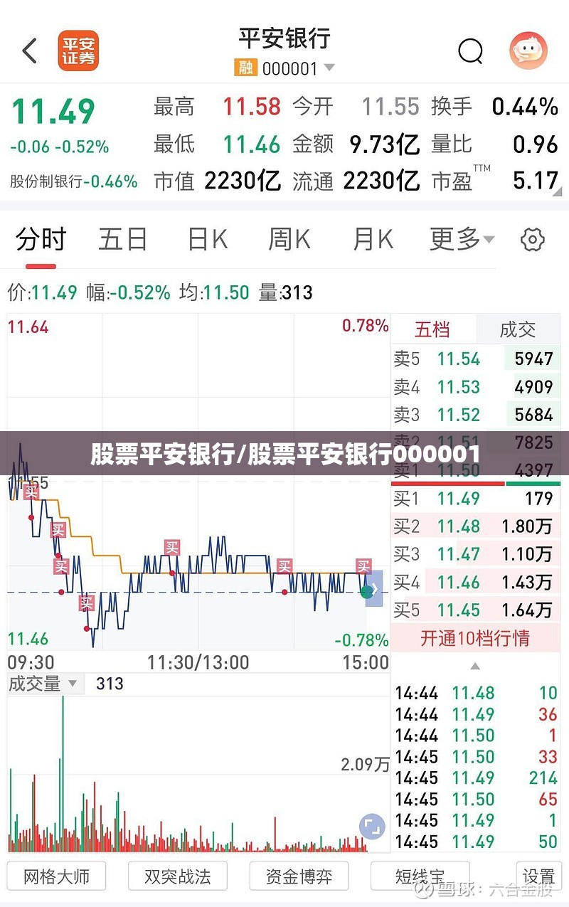 股票平安银行/股票平安银行000001