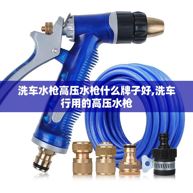 洗车水枪高压水枪什么牌子好,洗车行用的高压水枪