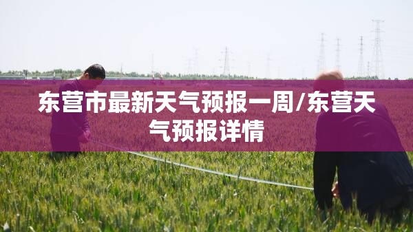 【300231股票行情,300314股票行情】