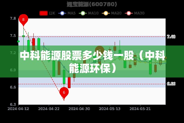 中科能源股票多少钱一股（中科能源环保）