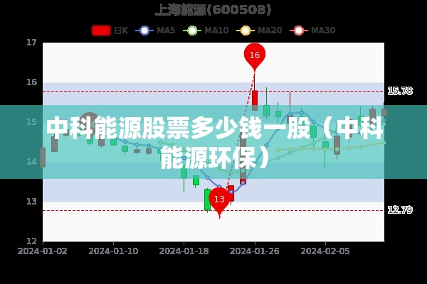 中科能源股票多少钱一股（中科能源环保）