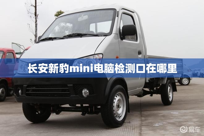 长安新豹mini电脑检测口在哪里