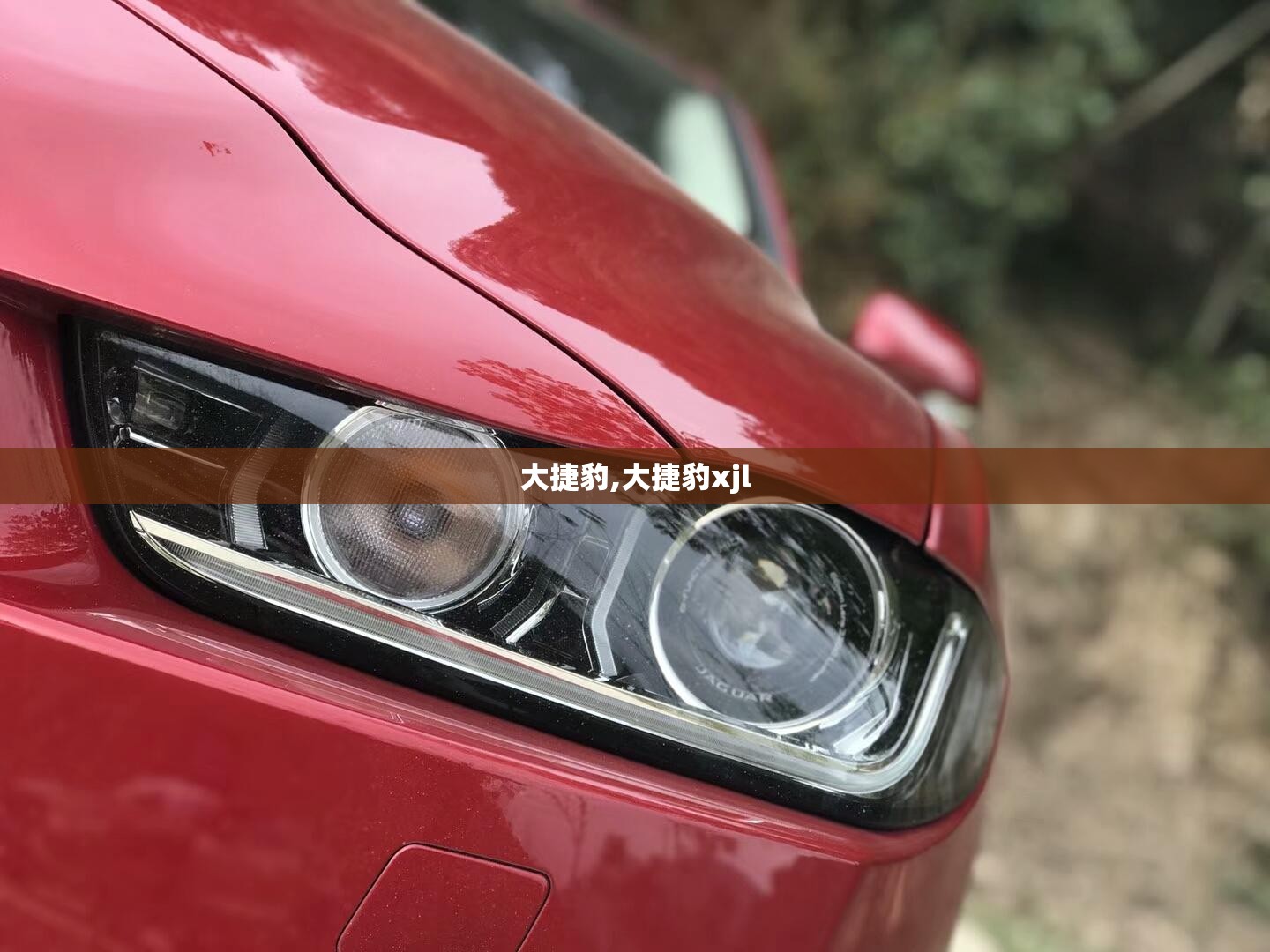 塑料周转筐生产厂家
