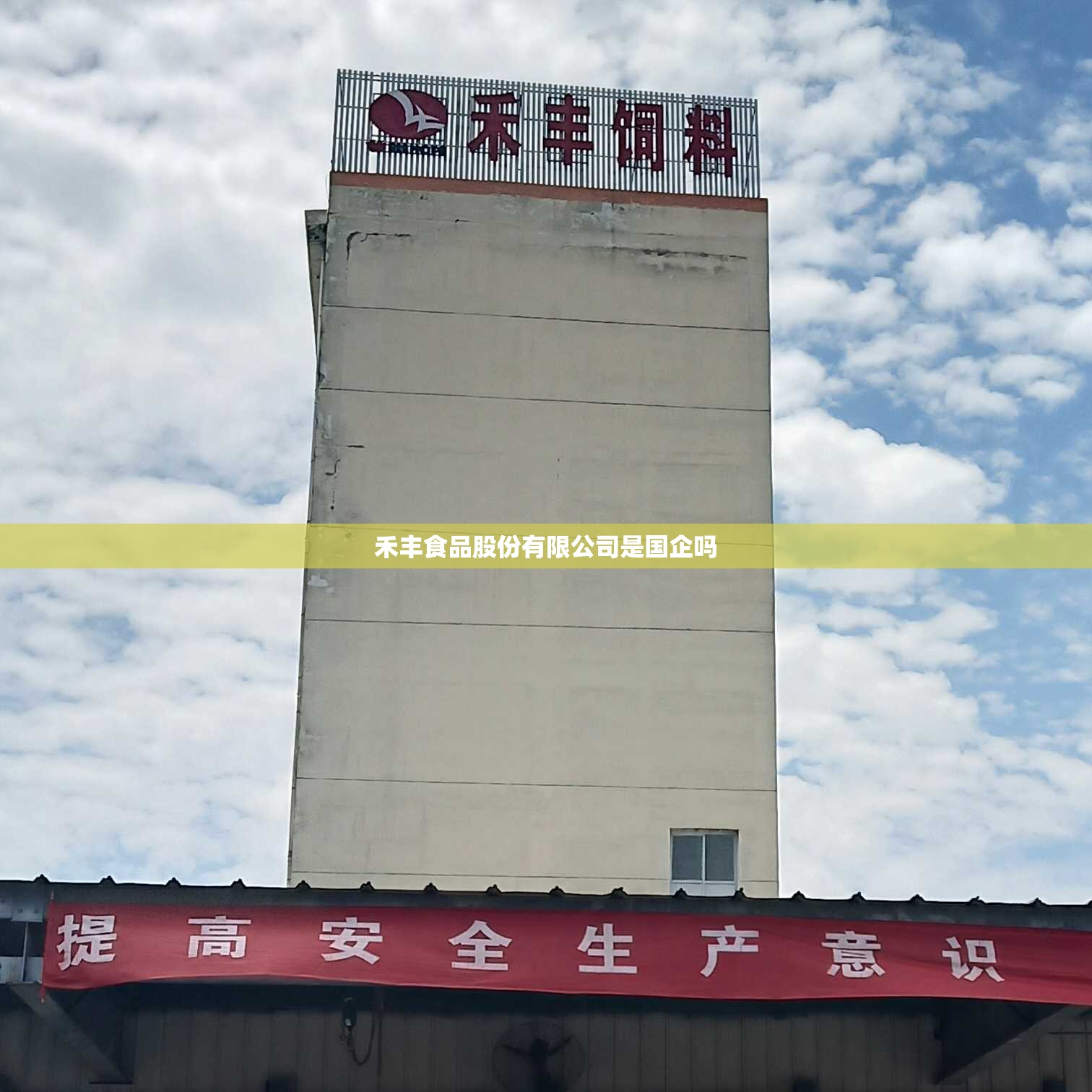 禾丰食品股份有限公司是国企吗