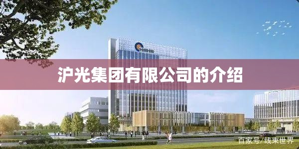 沪光集团有限公司的介绍