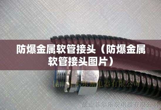防爆金属软管接头（防爆金属软管接头图片）