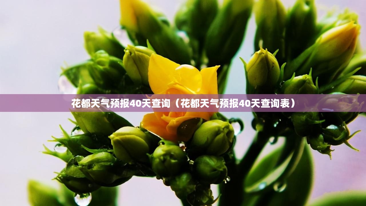 花都天气预报40天查询（花都天气预报40天查询表）