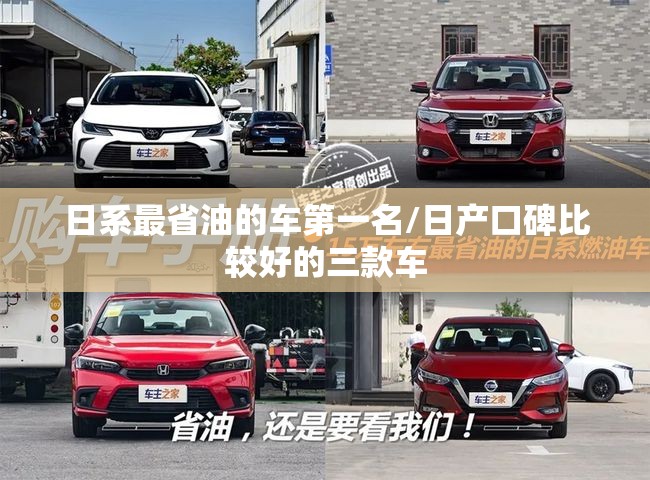 花都天气预报40天查询（花都天气预报40天查询表）