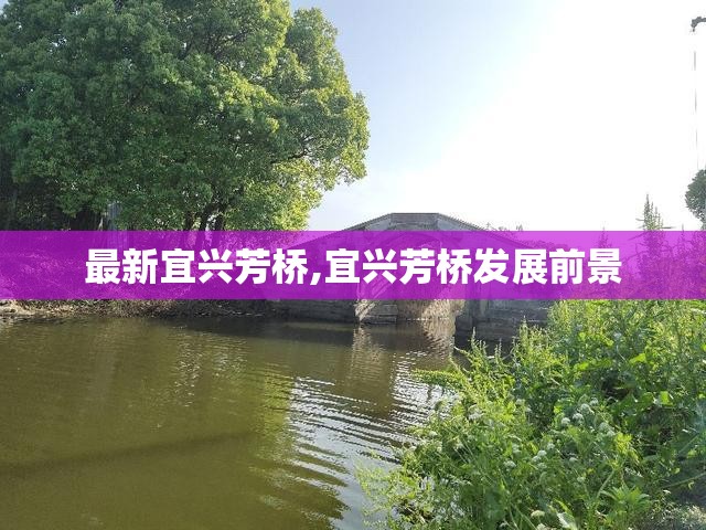 最新宜兴芳桥,宜兴芳桥发展前景