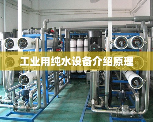 工业用纯水设备介绍原理