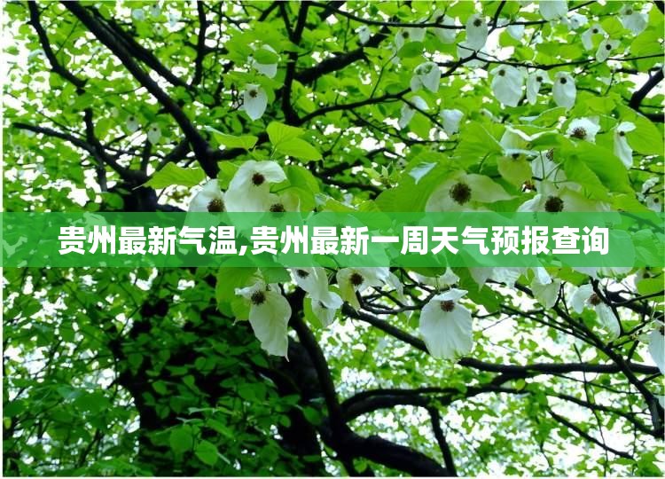 贵州最新气温,贵州最新一周天气预报查询