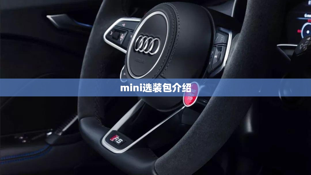 mini选装包介绍