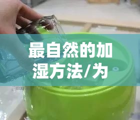 最自然的加湿方法/为什么医生不建议使用加湿器