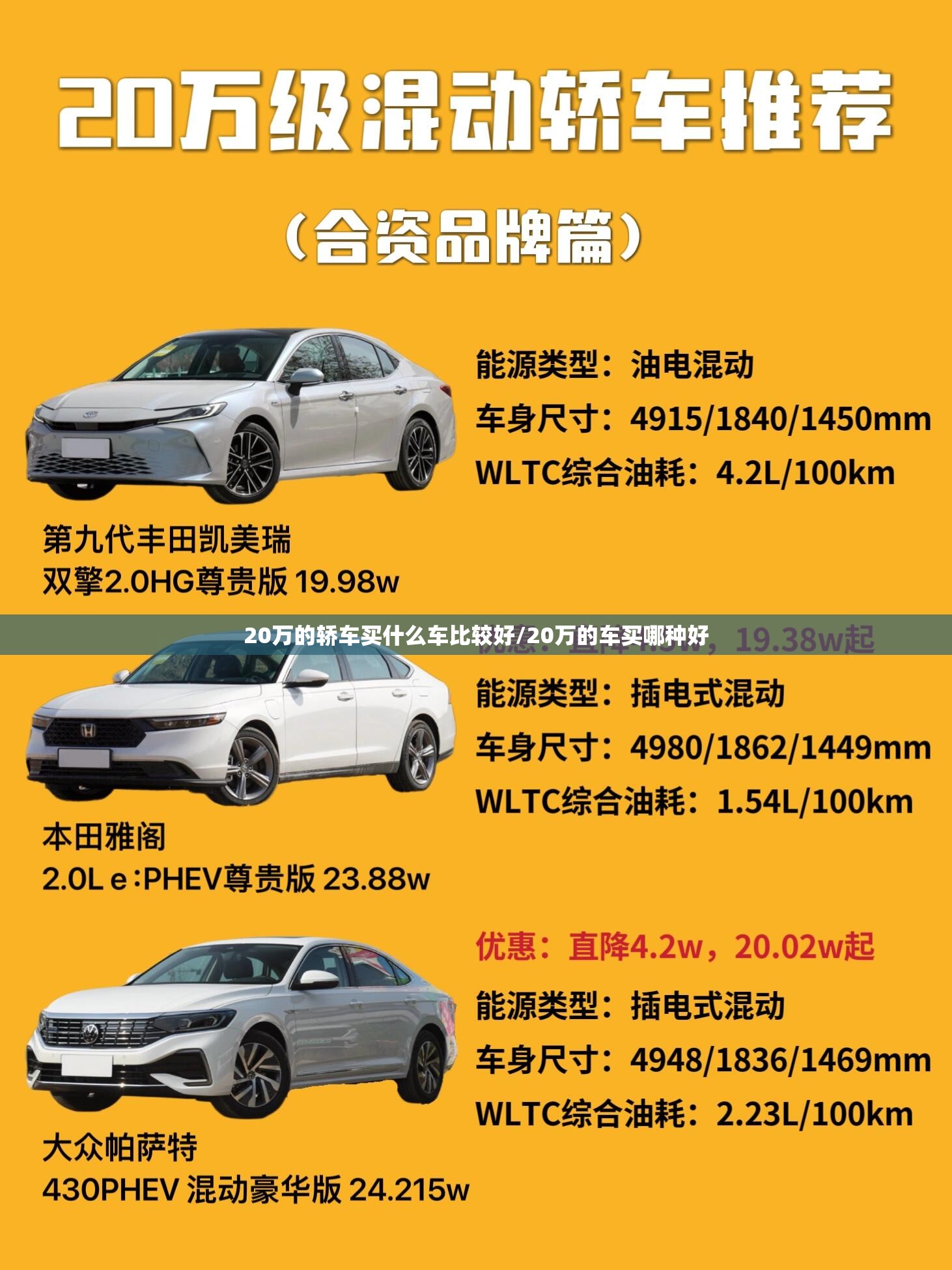 张晓楠个人资料出生