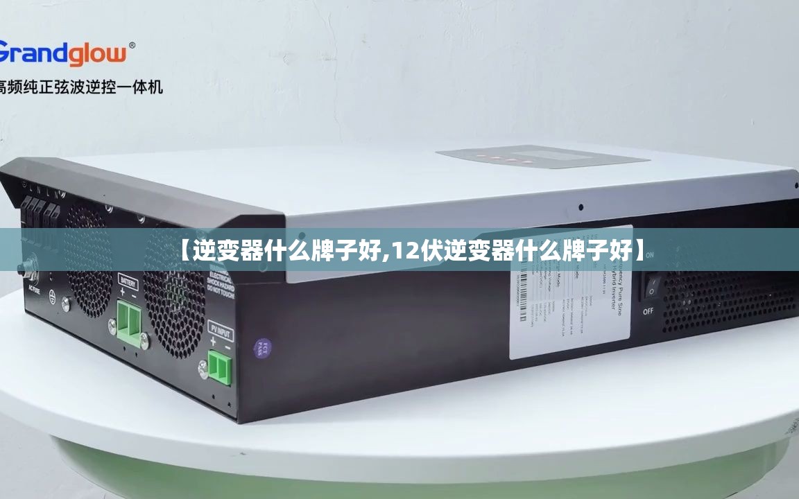 【逆变器什么牌子好,12伏逆变器什么牌子好】