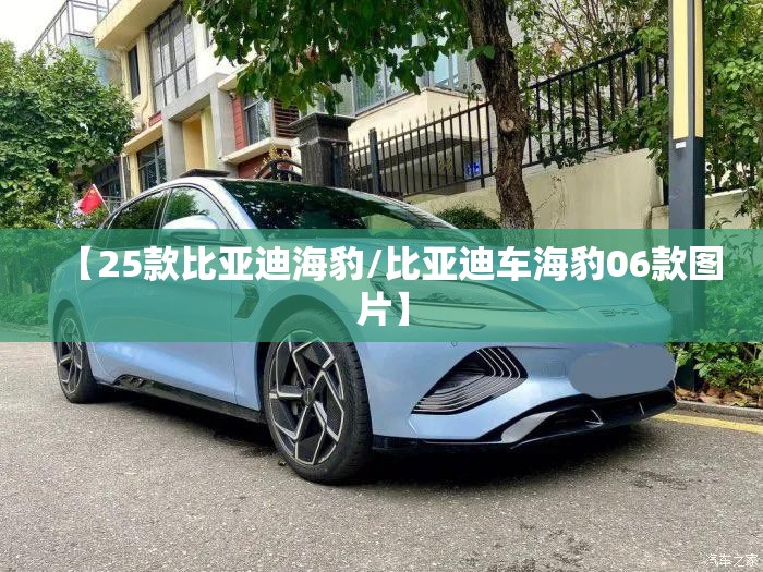 【25款比亚迪海豹/比亚迪车海豹06款图片】