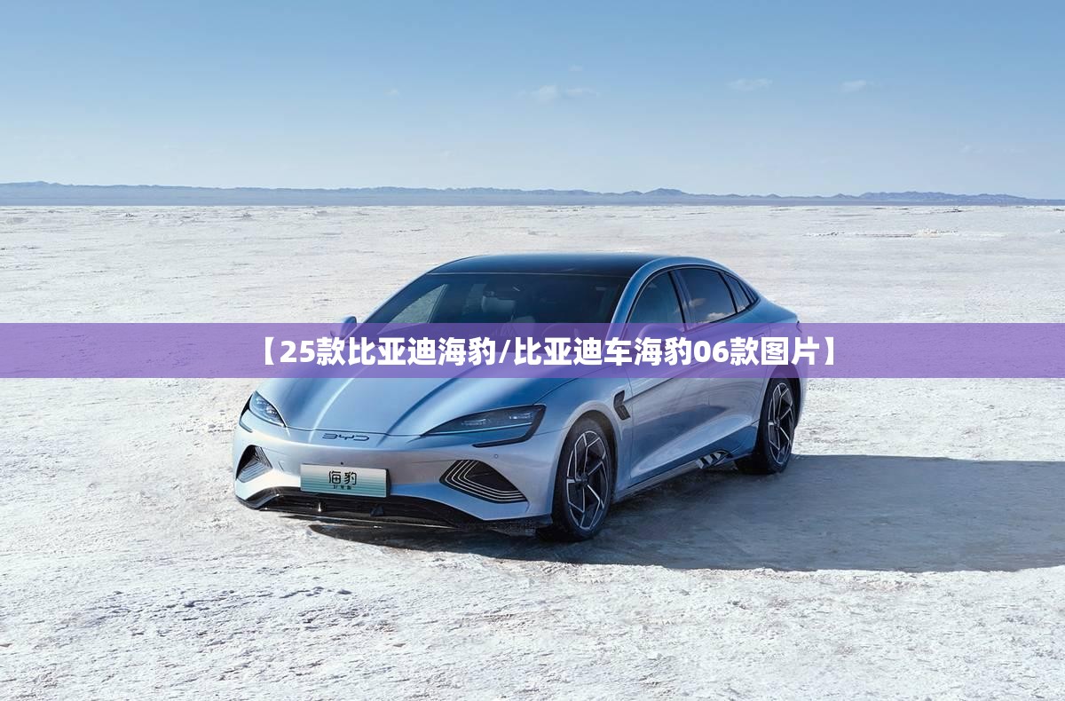 【25款比亚迪海豹/比亚迪车海豹06款图片】