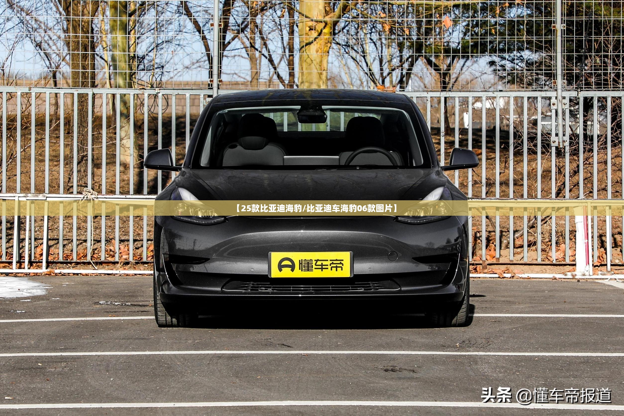 【25款比亚迪海豹/比亚迪车海豹06款图片】