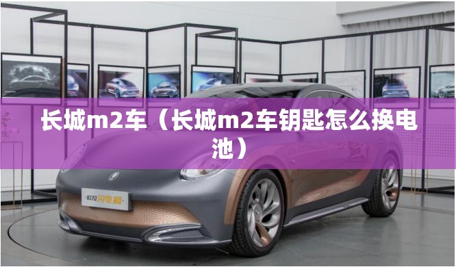 长城m2车（长城m2车钥匙怎么换电池）