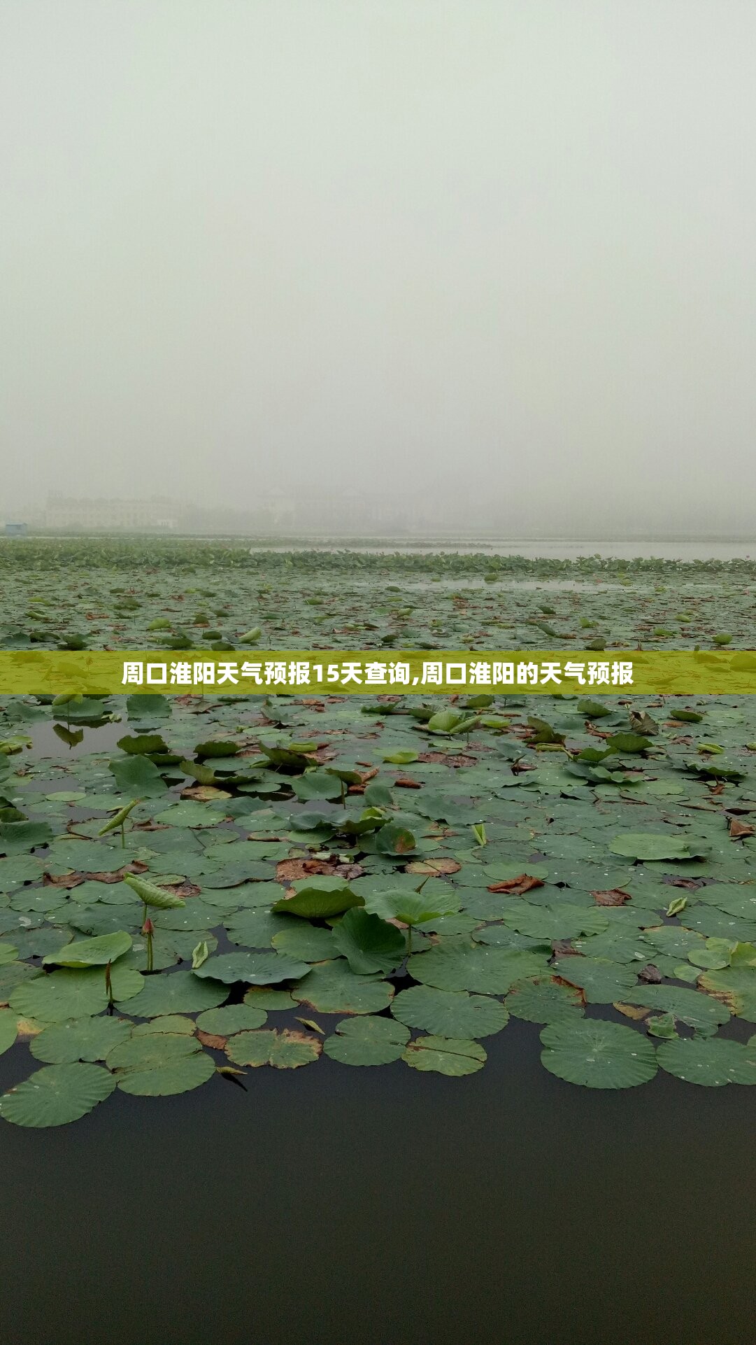 光大量化最新分红/光大量化分红2021