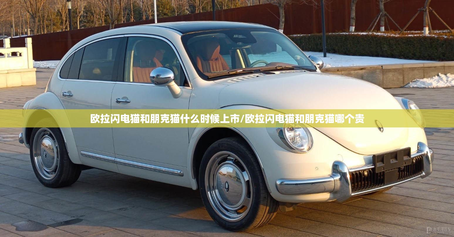 欧拉闪电猫和朋克猫什么时候上市/欧拉闪电猫和朋克猫哪个贵