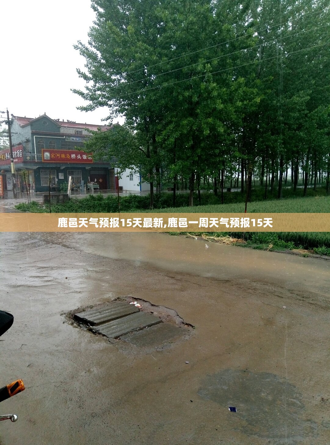 鹿邑天气预报15天最新,鹿邑一周天气预报15天