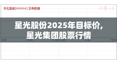 星光股份2025年目标价,星光集团股票行情