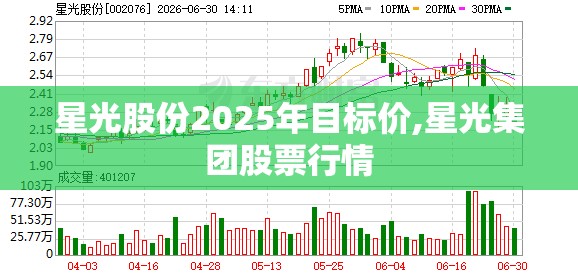 星光股份2025年目标价,星光集团股票行情