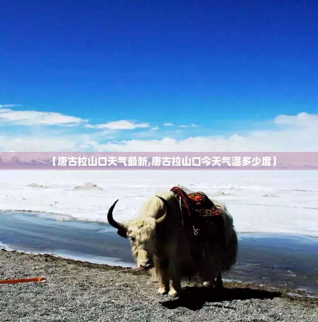 【唐古拉山口天气最新,唐古拉山口今天气温多少度】