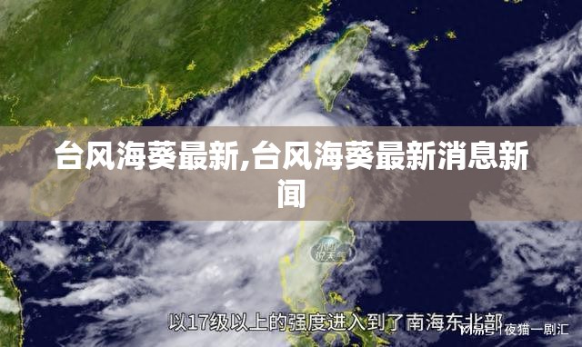 台风海葵最新,台风海葵最新消息新闻