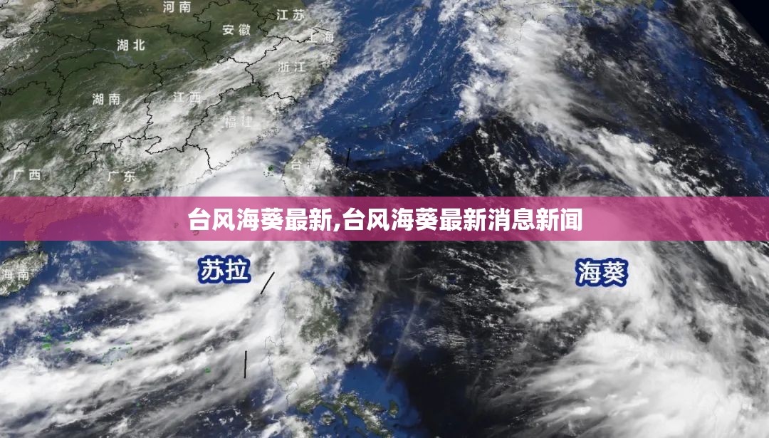 台风海葵最新,台风海葵最新消息新闻